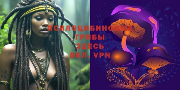 прущие крисы Арсеньев